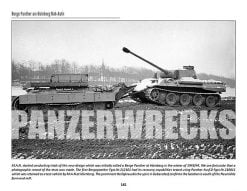 Repairing the Panzers 1 by Lukas Friedli - Panzerwrecks