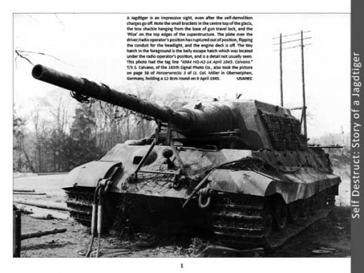 Panzerwrecks 12 - WW2 Panzer book. Jagdtiger