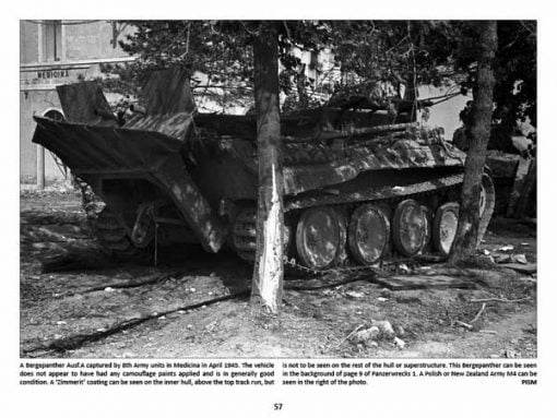 Panzerwrecks 9: Italy 1 - WW2 Panzer book. Bergepanther
