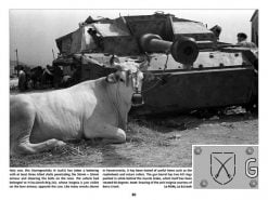 Panzerwrecks 9: Italy 1 - WW2 Panzer book. Sturmgeschütz III