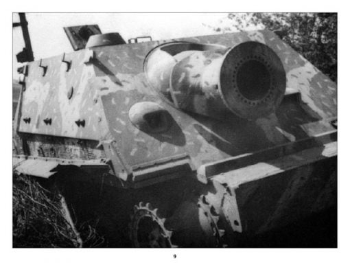 Panzerwrecks 2 - WW2 Panzer book. Sturmtiger