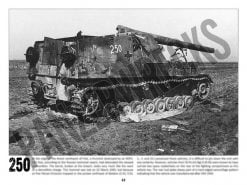 Panzerwrecks 20: Ostfront 3 - WW2 Lake Balaton Panzer wrecks book. Hummel