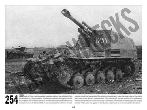 Panzerwrecks 20: Ostfront 3 - WW2 Lake Balaton Panzer wrecks book. Wespe