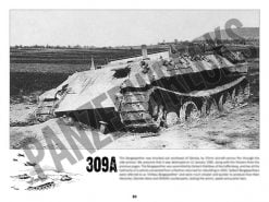 Panzerwrecks 20: Ostfront 3 - WW2 Lake Balaton Panzer wrecks book. Bergepanther