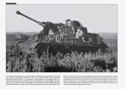 Panzer IV on the Battlefield 2 (Vol.16) book by Craig Ellis