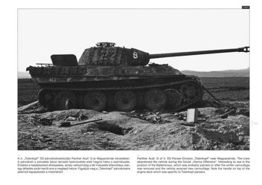 Panther on the Battlefield 2 - WW2 panzer book