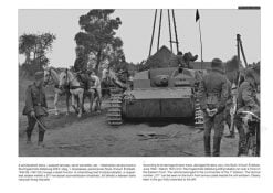 Sturmgeschütz III on the Battlefield 4 (Vol.13) - Stug III book