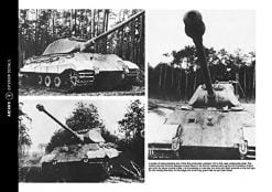Superking - Tiger tank book