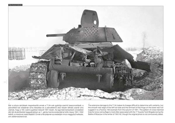 Fleischer T-34 Russlands Standard Panzer im Zweiten Weltkrieg Buch Neu! 