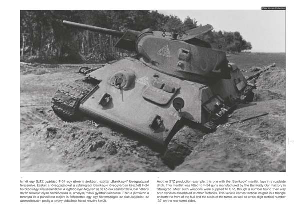 T-34 on the Battlefield 2 Panzer-Modellbau/T34/Fotos/Bilder/Buch/book Stokes 