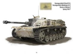 Sturmgeschütz III & Sturmhaubitze 42 - Panzerwrecks