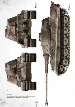 Colour profile of a Tiger II