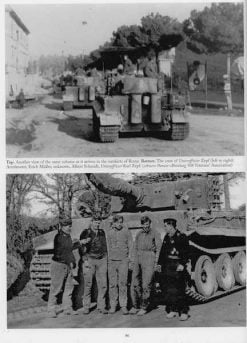 Panzer-ModellbauNashorn/StG IV/Tiger/Elefant/Fotos PANZERWRECKS 13 Italien 2 