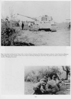 The Combat History of schwere Panzer-Abteilung 508 - NZ Tiger