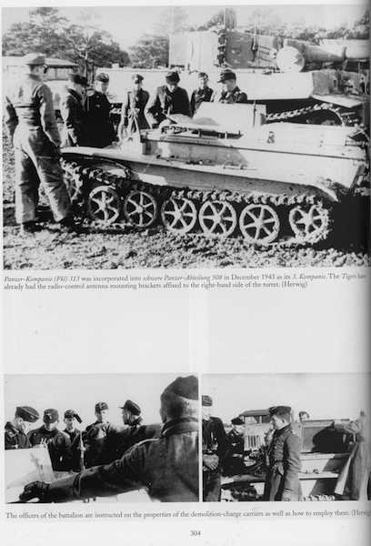 Funklenkpanzer BIVs + Tiger