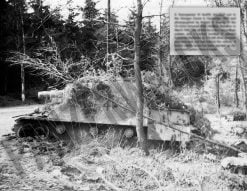 Sturmpanzer IV in forest