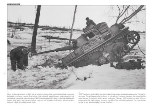 Panzer fell through the ice