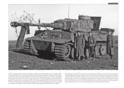 Tiger Ausf.E