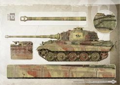 Tiger of s.Pz.Abt.505