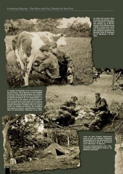 Fontenay - Rauray - Milking cow