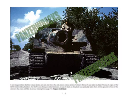 Colour Sturmtiger