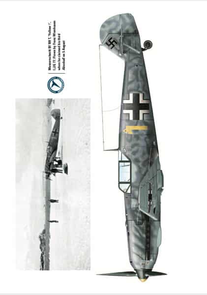 Graf Zeppelin's Eagles Bf 109 profile
