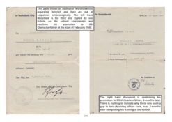 Heinrich documents