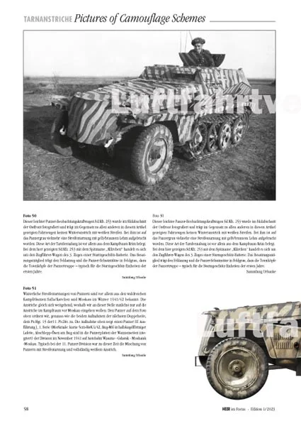 Striped Sd.Kfz.253
